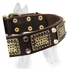 Embossed Brass Plates and Nickel Pyramids on German-Shepherd Collar Strap