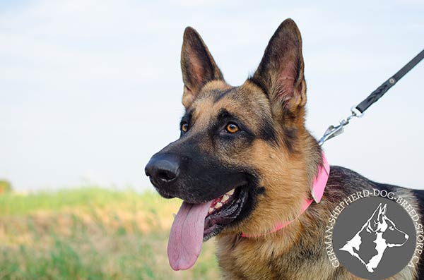 Comfortable Pink Dog Collar with Buckle for Quick Adjustment