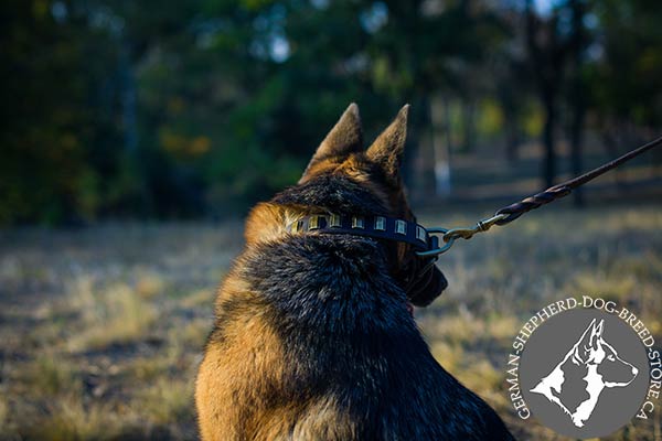 Decorated Leather Dog Collar with Durable Brass Hardware