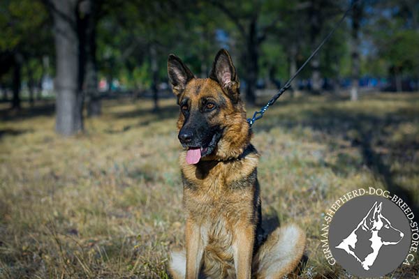 Hand-decorated Leather German-Shepherd Collar with Silver-like Pyramids