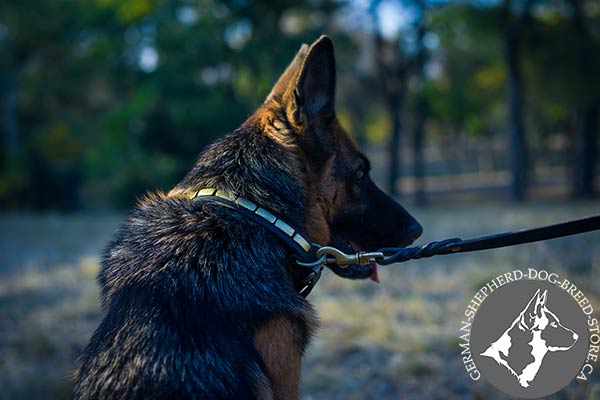 Elegant Leather German-Shepherd Collar with Brass Shiny Plates