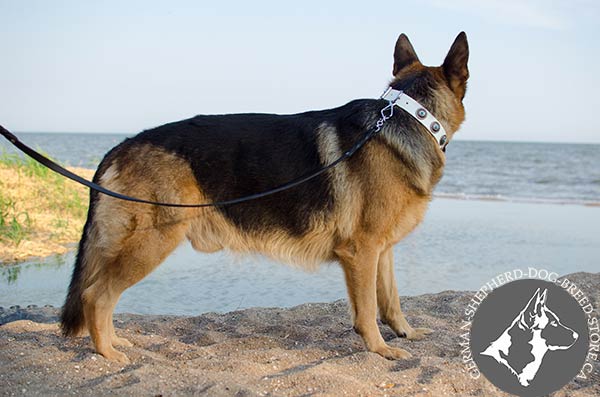 Exquisite Design White Dog Collar with Nickel-plated Hardware