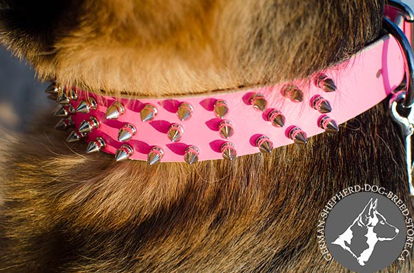Exquisite Leather German-Shepherd Collar with Symmentical Hand Set Spikes