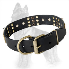 German-Shepherd Buckled Leather Collar with Strong Brass D-Ring