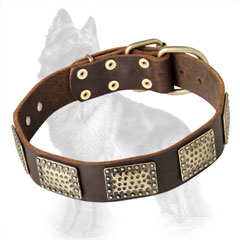 German-Shepherd Leather Collar Decorated with Original Massive Brass Plates