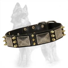 German-Shepherd Spiked Leather Collar Decorated with Nickel Plates and Brass Spikes