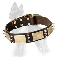 Extravagant Leather German-Shepherd Dog Collar With Old  Brass Plates And 3 Nickel Spikes Between Them