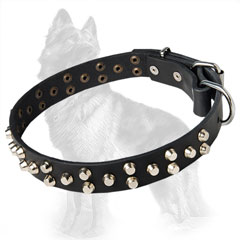 Carefully Studded With Pyramids Leather German-Shepherd  Dog Collar