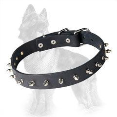 German-Shepherd Breed Spiked Leather Collar with Nickel  Covered Spikes, Buckle and D-Ring