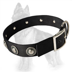 German-Shepherd Buckled Dog Collar Decorated with Nickel Circles