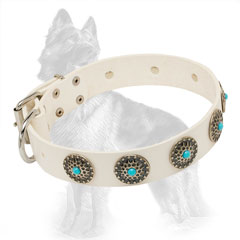 German-Shepherd Buckled Dog Collar with Nickel Covered  Fittings