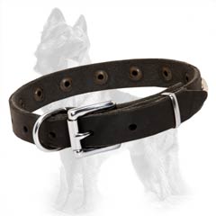 German-Shepherd Buckled Leather Dog Collar Adjustable