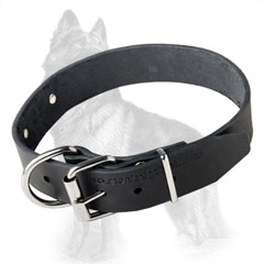 German-Shepherd Buckled Leather Dog Collar with Strong  Rustproof Nickel Covered Fittings