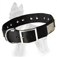 German-Shepherd Buckled Nylon Dog Collar Decorated with Nickel Plates