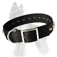 German-Shepherd Buckled Nylon Dog Collar Decorated with Nickel Pyramids