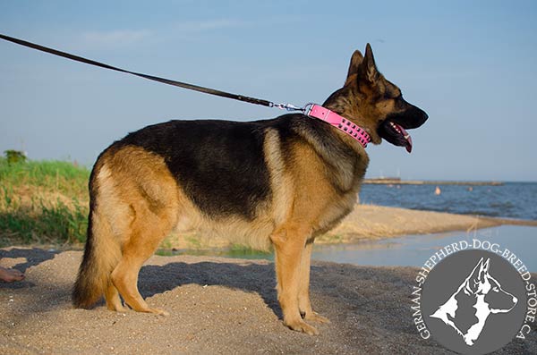 Caterpillar Design Pink Leather German-Shepherd Collar