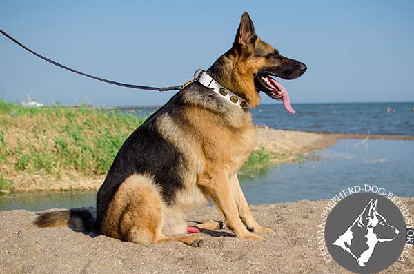  Leather German-Shepherd Collar in Elegant White