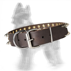 Spiked Leather German-Shepherd Collar with Brass Studs and Nickel Plated Hardware