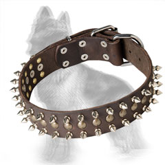 Leather German-Shepherd Collar with Brass Studs and Nickel Spikes