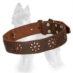 Brown Leather German-Shepherd Collar with Brass Studded Flowers