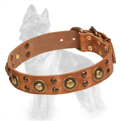 Studded Leather German-Shepherd Collar with Brass Decorative Circles