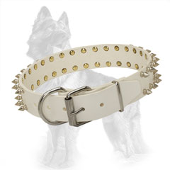White Leather German-Shepherd Collar Spiked with Buckle