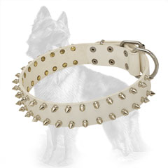 White Leather German-Shepherd Collar with Nickel Plated Spikes