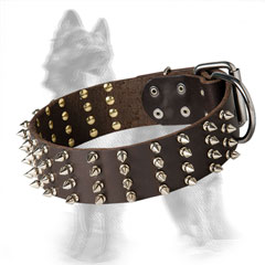 Leather German-Shepherd Collar with Brass Studs and Nickel Spikes
