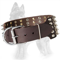 Wide Leather German-Shepherd Collar Spiked and Studded with Buckle