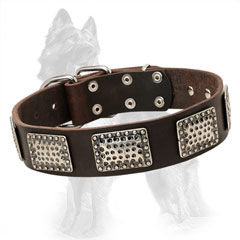 Decorated Leather German-Shepherd Collar with Embossed Nickel Plates