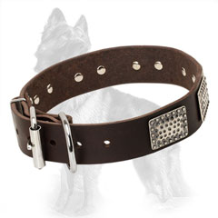 Leather German-Shepherd Collar Equipped with Nickel Plated Hardware