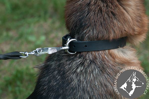 Leather German-Shepherd Collar with Massive Nickel-plated D-ring