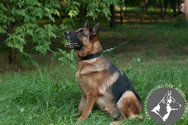 Soft German-Shepherd Collar of Genuine Leather