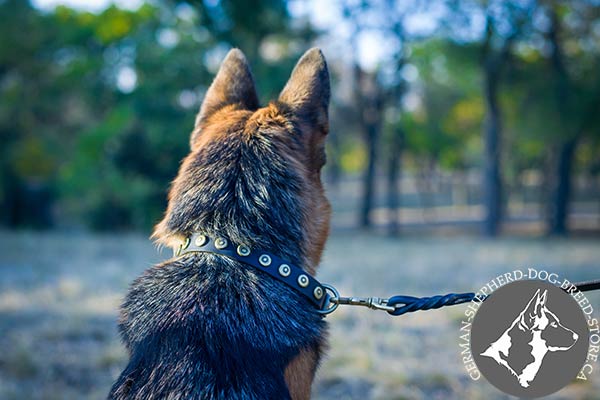 Thin Leather German-Shepherd Collar with Dotted Studs