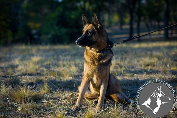 Amazing Leather German-Shepherd Collar with Vintage Cones