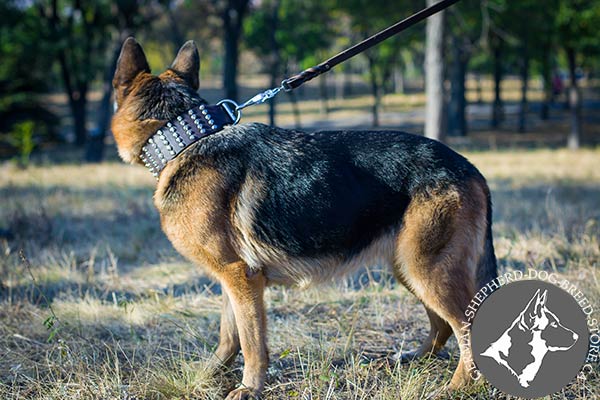 Leather German-Shepherd Collar with Handset Cones