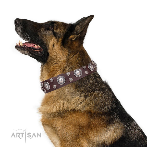 Comfortable wearing embellished dog collar of top notch genuine leather