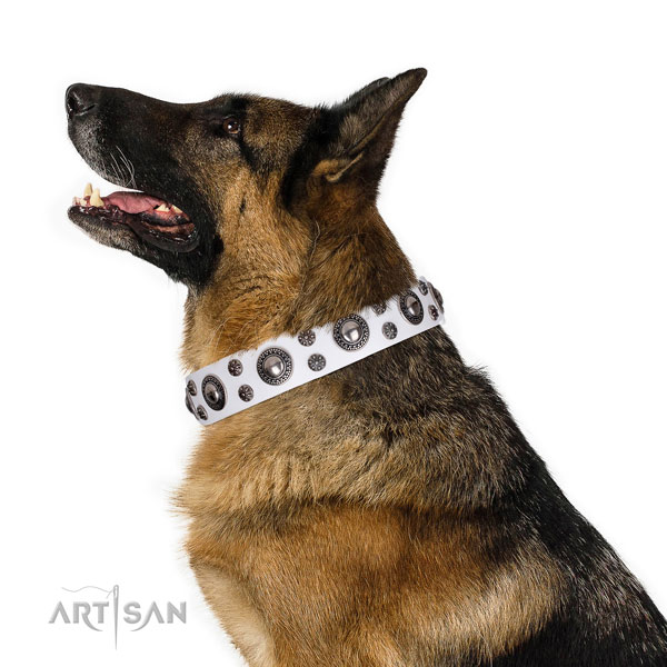 Daily walking embellished dog collar of reliable natural leather