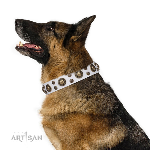 Stylish walking adorned dog collar of high quality material