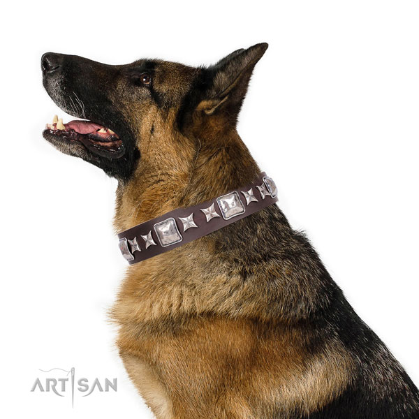 Handy use studded dog collar of durable material