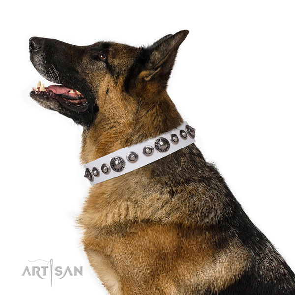 Designer adorned natural leather dog collar for basic training