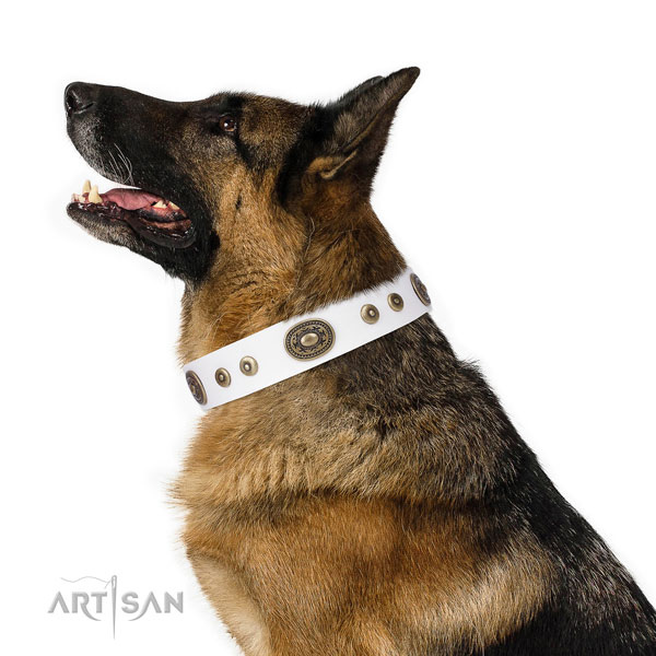 Designer adorned natural leather dog collar for everyday walking