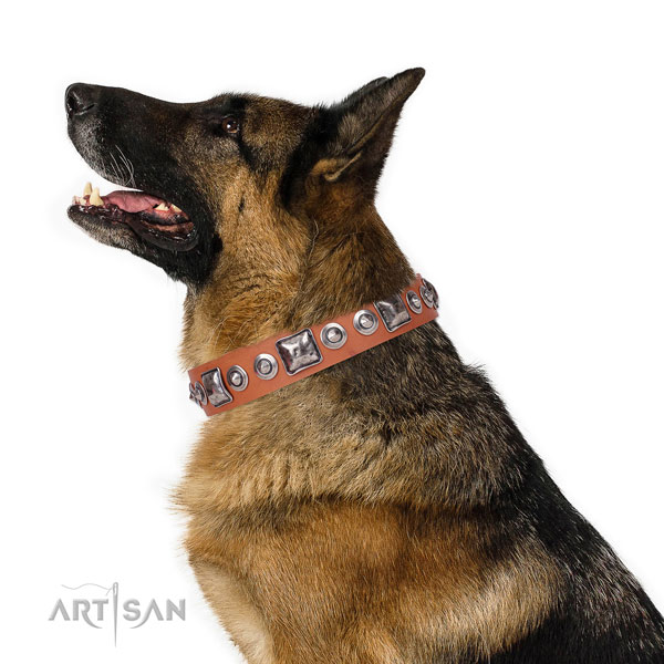 Designer studded natural leather dog collar for walking