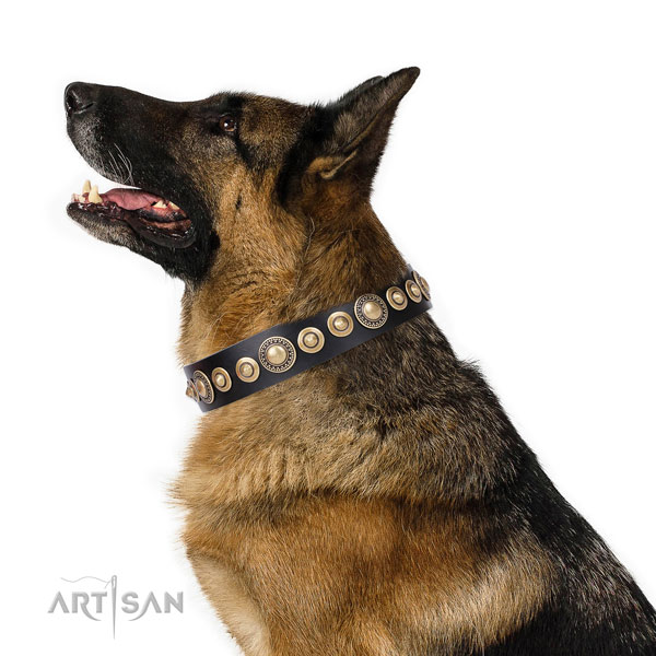 Top notch decorated natural leather dog collar