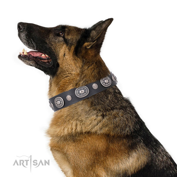 Reliable buckle and D-ring on leather dog collar for everyday use
