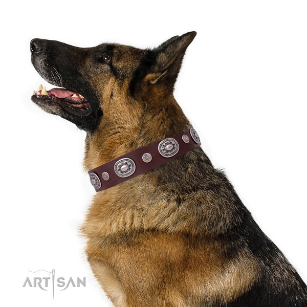 Corrosion resistant buckle and D-ring on full grain leather dog collar for daily walking
