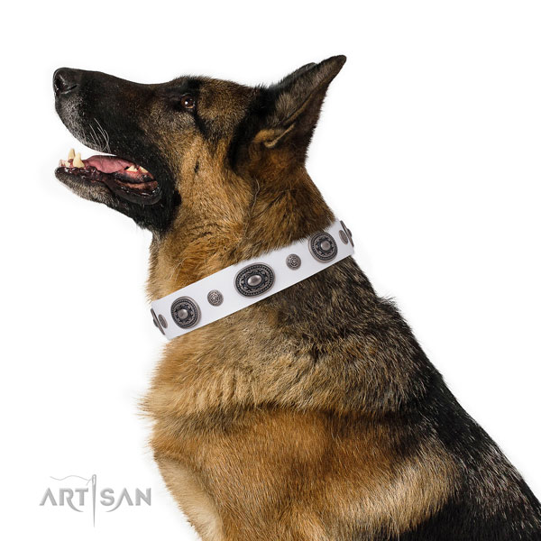 Leather dog collar with durable buckle and D-ring for stylish walking