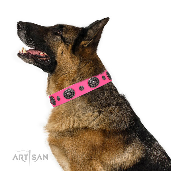 Leather dog collar with rust resistant buckle and D-ring for handy use