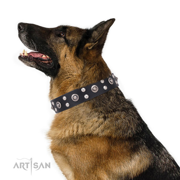 Stylish walking decorated dog collar made of top rate genuine leather