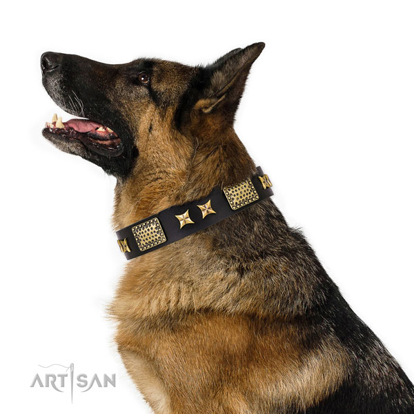 Stylish walking dog collar with significant decorations